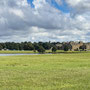 Thurs 26th Sept pm: circular walk around lake at Holkham Hall
