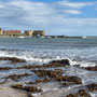 8th Sept PM: Beadnell Bay