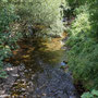 Severn from bridge near Old Hall