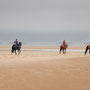28th Sept am:  Holkham beach walk (& galloping horses)