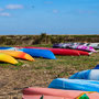 9th March am: Blakeney Harbour coast path walk towards Cley-next-the-Sea (and back)