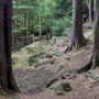 10th Sept AM: Cragside - parkland walk