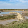 30th April PM: Burnham Overy Staithe walk to beach and back