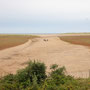 28th Sept am:  Holkham beach walk  