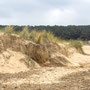 26th April AM: walk from Wells-Next-the-Sea to the Lookout at Holkham Gap