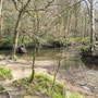 22nd March:  NT Lanhydrock House, garden & parkland