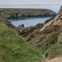 6th May pm: cliff walk from North Cliffs car park towards Portreath