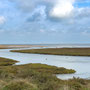 11th October AM: walking from Holme Dunes  nature reserve to Thornham Quay