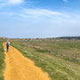 30th April PM: Burnham Overy Staithe walk to beach and back