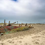 Tuesday 25th March am: Crow Point, Braunton Burrows