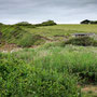 The Hidden Hut, Porthcurnick Beach
