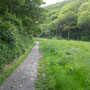 7th June; (am) Boscastle - River Valency nature reserve walk