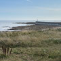 8th Sept AM: Seahouses beach and looking out to Farne Islands