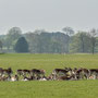26th April PM: Holkham Hall & park