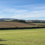 8th Sept PM: Lookout South