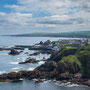 9th June - pm: circular walk from St Abbs visitor centre to St Abb's Head 