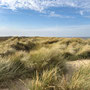 11th October PM: walking at RSPB Titchwell Marsh reserve and beach