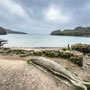 24th March AM: NT Trelissick riverside walk & gardens