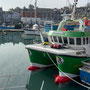 23rd March AM: Padstow harbour and short, estuary walk