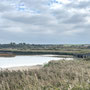 11th October PM: walking at RSPB Titchwell Marsh reserve and beach