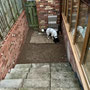 9th December: Toby as buildings inspector
