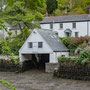 4th May: pm Helford creek