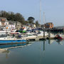 23rd March AM: Padstow harbour and short, estuary walk