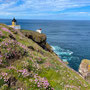 9th June - pm: circular walk from St Abbs visitor centre to St Abb's Head 