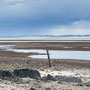 1th Sept AM: Holy Island / Lindisfarne - walk around island