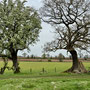 April 6th: Hanbury Hall - 2.80 miles