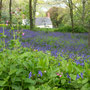 1st May: am National Trust, Penrose and walk to Loe Bar