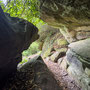 10th Sept AM: Cragside - parkland walk