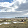 11th October AM: walking from Holme Dunes  nature reserve to Thornham Quay