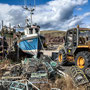12th Sept PM: St Abbs - walk around harbour