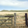 7th Sept AM: Cheswick Sands nature reserve