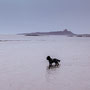Low Newton / Embleton Bay