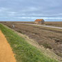 4th March PM: Thornham