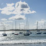 8th Sept PM: Beadnell Harbour