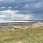 1th Sept AM: Holy Island / Lindisfarne - walk around island