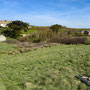 21st March AM: NT Pentire Glaze - walk to Pentire Point (and back)