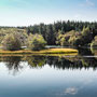 Glenamour Loch in north end of Kirroughtree Forest
