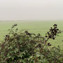 2.08 miles: foggy, damp walk in Shorthorn woods - 7th December
