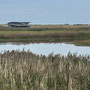 11th October PM: walking at RSPB Titchwell Marsh reserve and beach