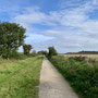 6.42 miles: the Greenway near Stratford - 7th October