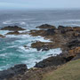 2nd May: am National Trust,  walking from Botallack towards  the Levant Mine and Pendeen Lighthouse