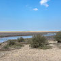 27th April PM:Morston Quay - walk over Morston Greens