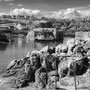 12th Sept PM: St Abbs - walk around harbour