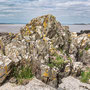 June 8th AM - Carrick bay - low tide