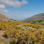 College Valley walk, The Cheviots