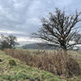 November 29th: Hanbury Hall - 3.06 miles